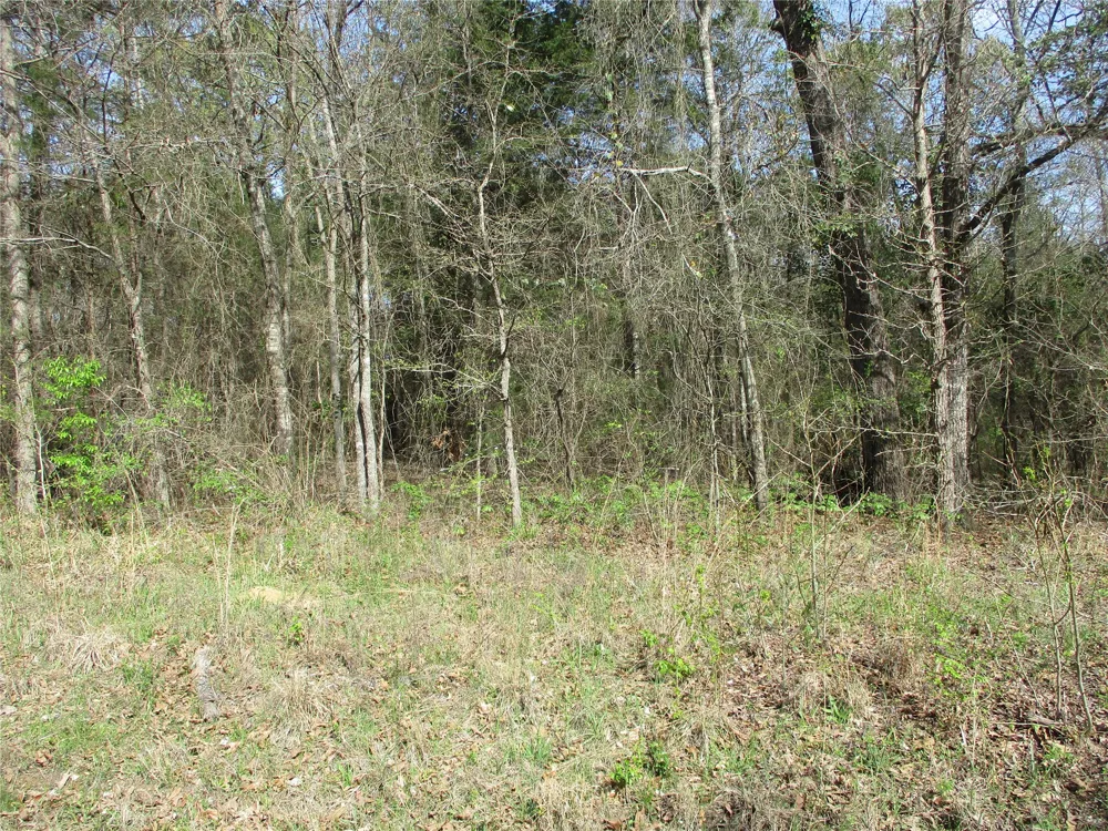 County Road 2958 Alba, TX 75410