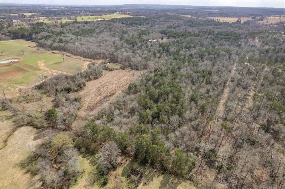 1070 Piney Grove Rusk, TX 75785