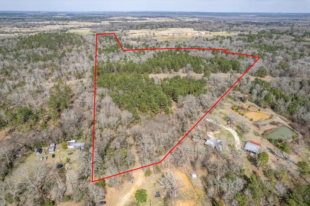 1070 Piney Grove Rusk, TX 75785