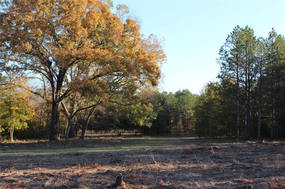 1070 Piney Grove Rusk, TX 75785