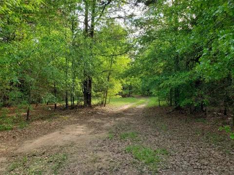 1070 Piney Grove