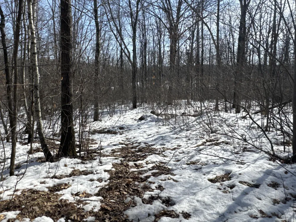 27XX 11th Avenue Chetek, WI 54728