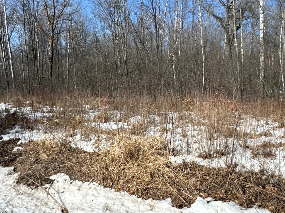 27XX 11th Avenue Chetek, WI 54728