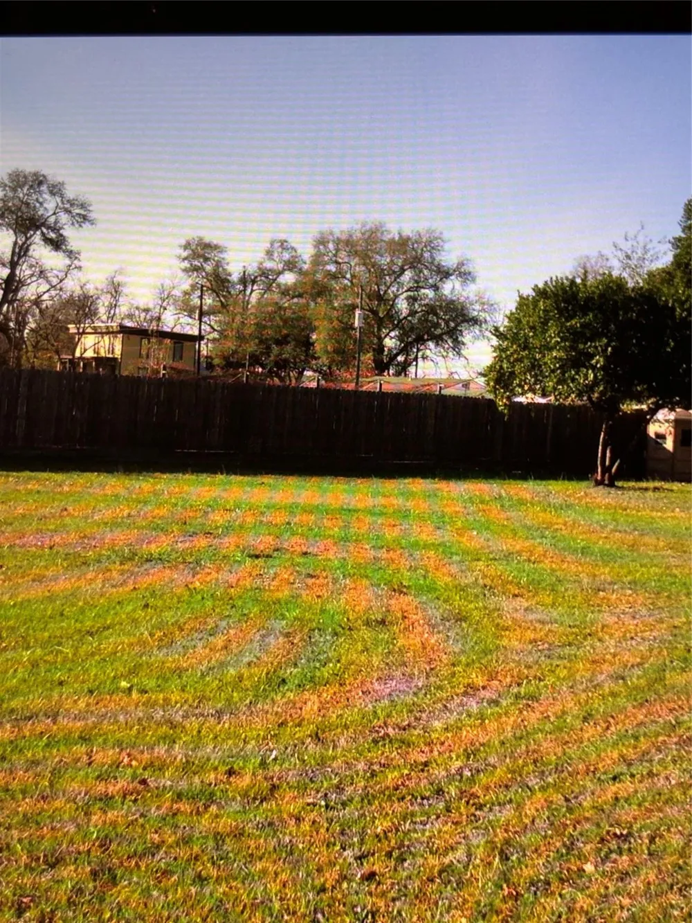 605 Independence Street Brenham, TX 77833