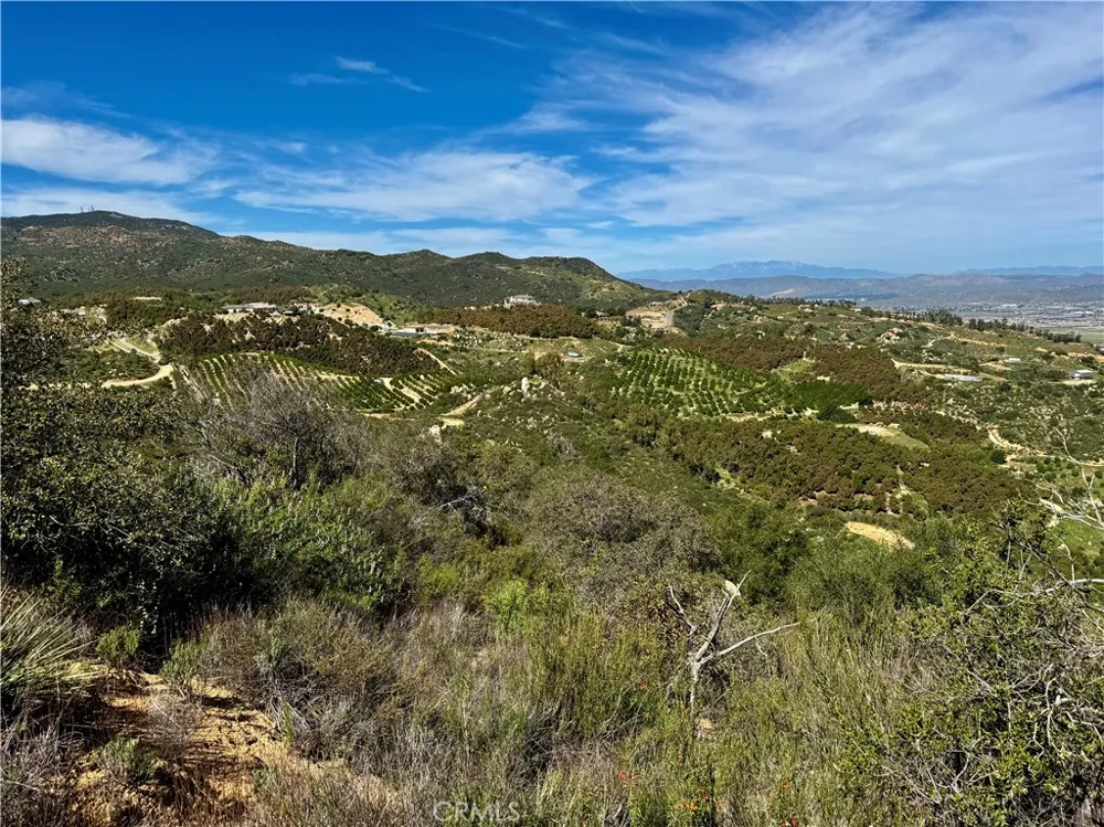 37685 El Tigre Murrieta, CA 92562