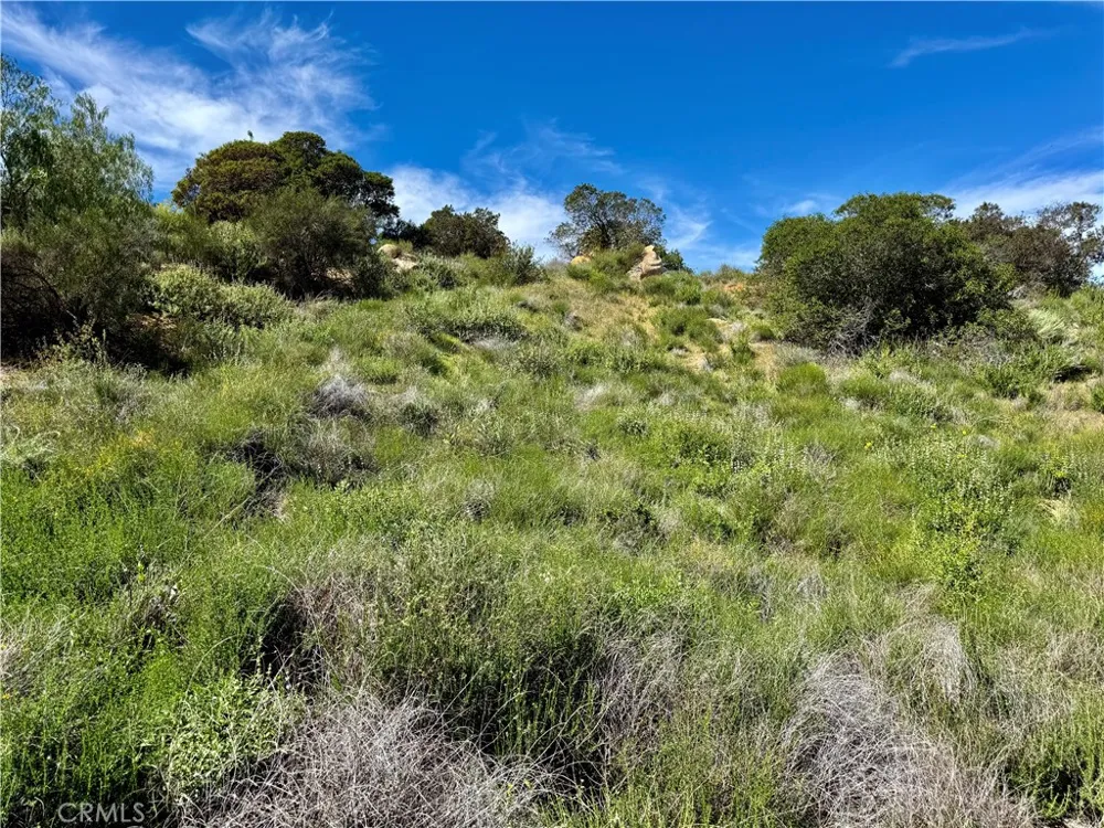 37685 El Tigre Murrieta, CA 92562