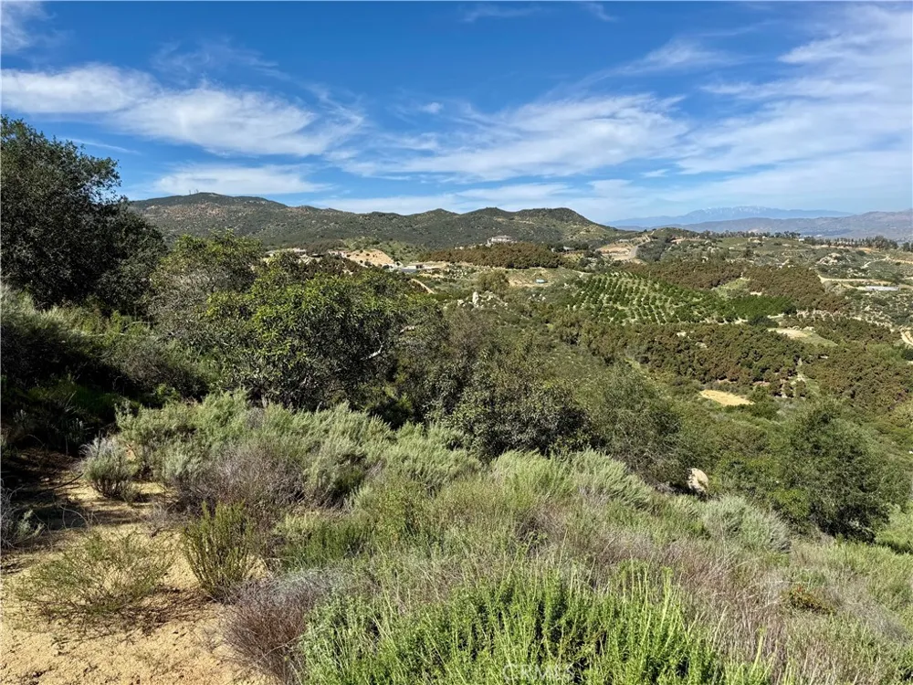 37685 El Tigre Murrieta, CA 92562