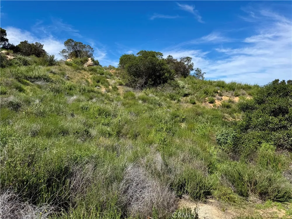 37685 El Tigre Murrieta, CA 92562