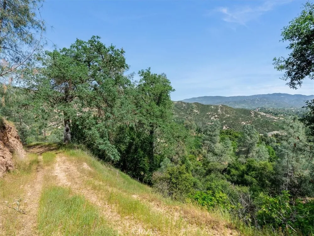 1535 Parkhill Road Santa Margarita, CA 93453