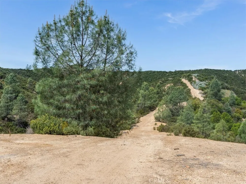 1535 Parkhill Road Santa Margarita, CA 93453