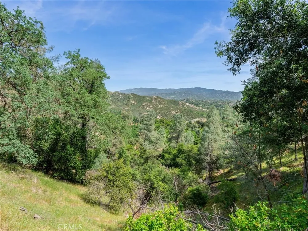 1535 Parkhill Road Santa Margarita, CA 93453