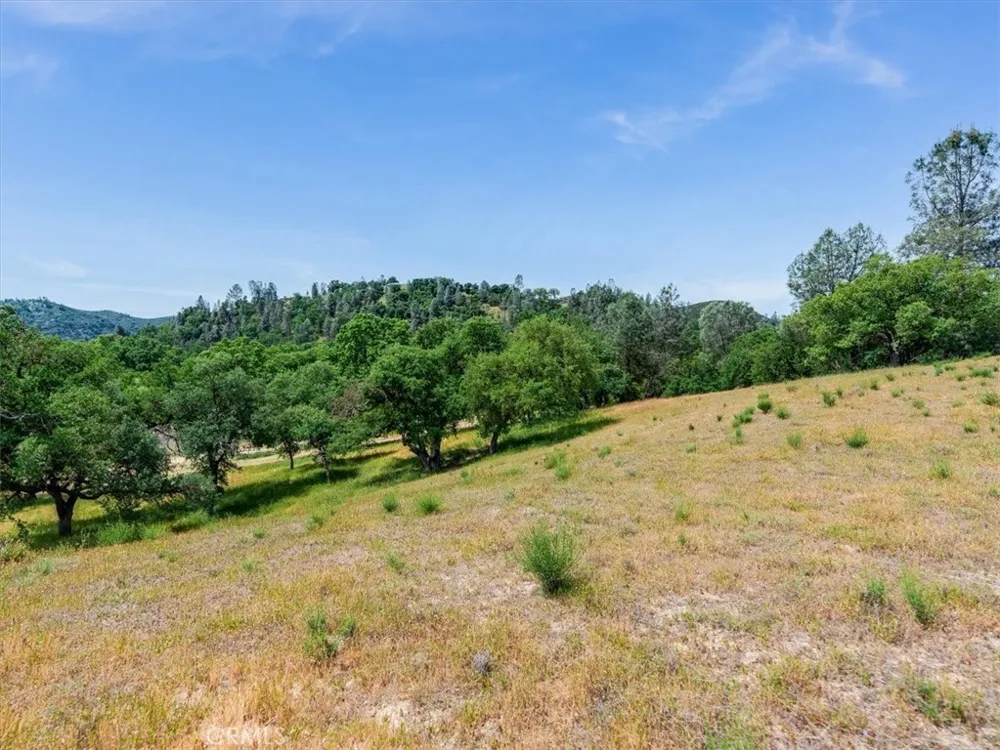 1535 Parkhill Road Santa Margarita, CA 93453