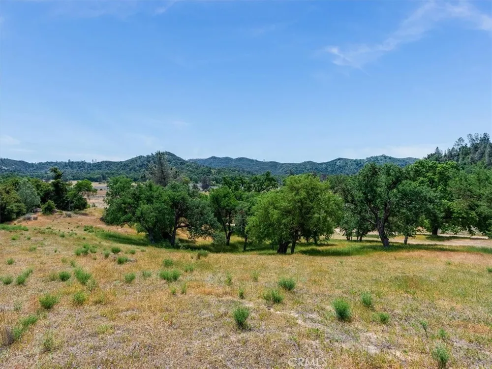 1535 Parkhill Road Santa Margarita, CA 93453
