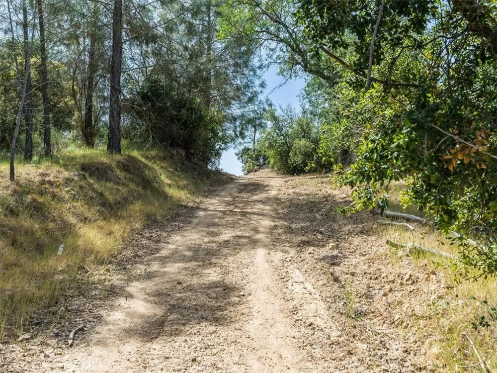 1535 Parkhill Road Santa Margarita, CA 93453