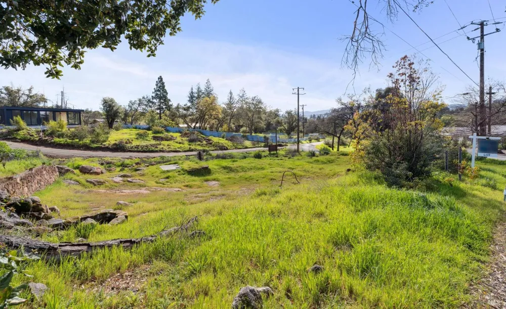 101 Pine Place St. Helena, CA 94574