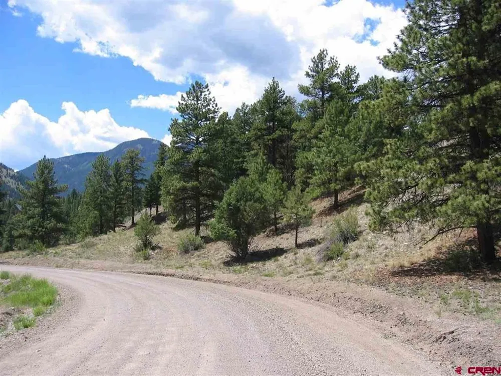 1900 San Juan Springs Drive Lake City, CO 81235