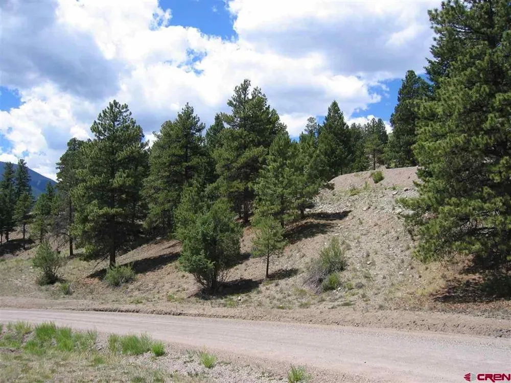 1900 San Juan Springs Drive Lake City, CO 81235