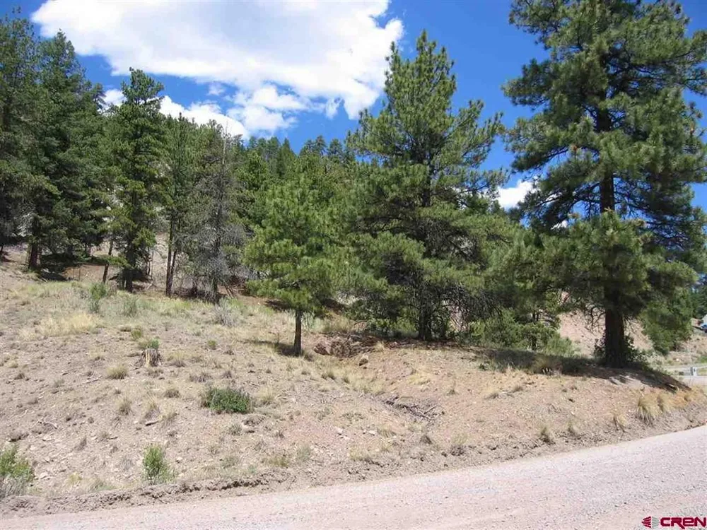 1900 San Juan Springs Drive Lake City, CO 81235