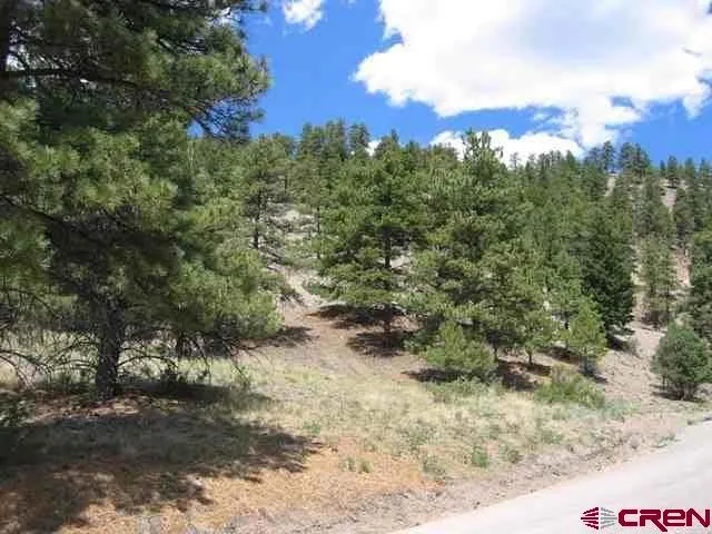 1900 San Juan Springs Drive Lake City, CO 81235