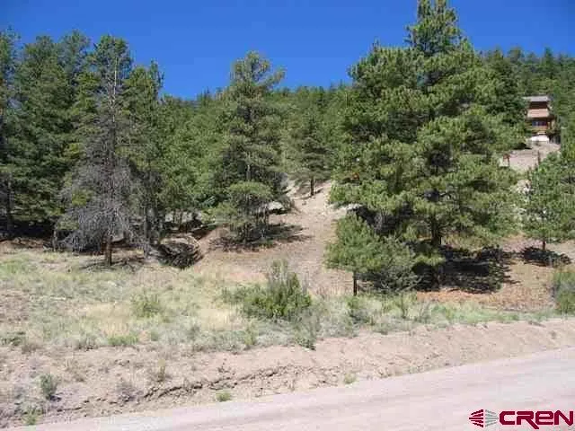 1900 San Juan Springs Drive Lake City, CO 81235