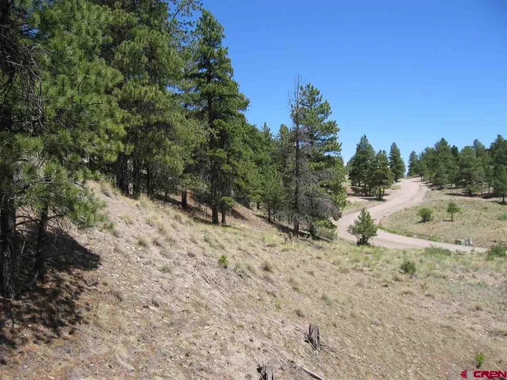 1900 San Juan Springs Drive Lake City, CO 81235