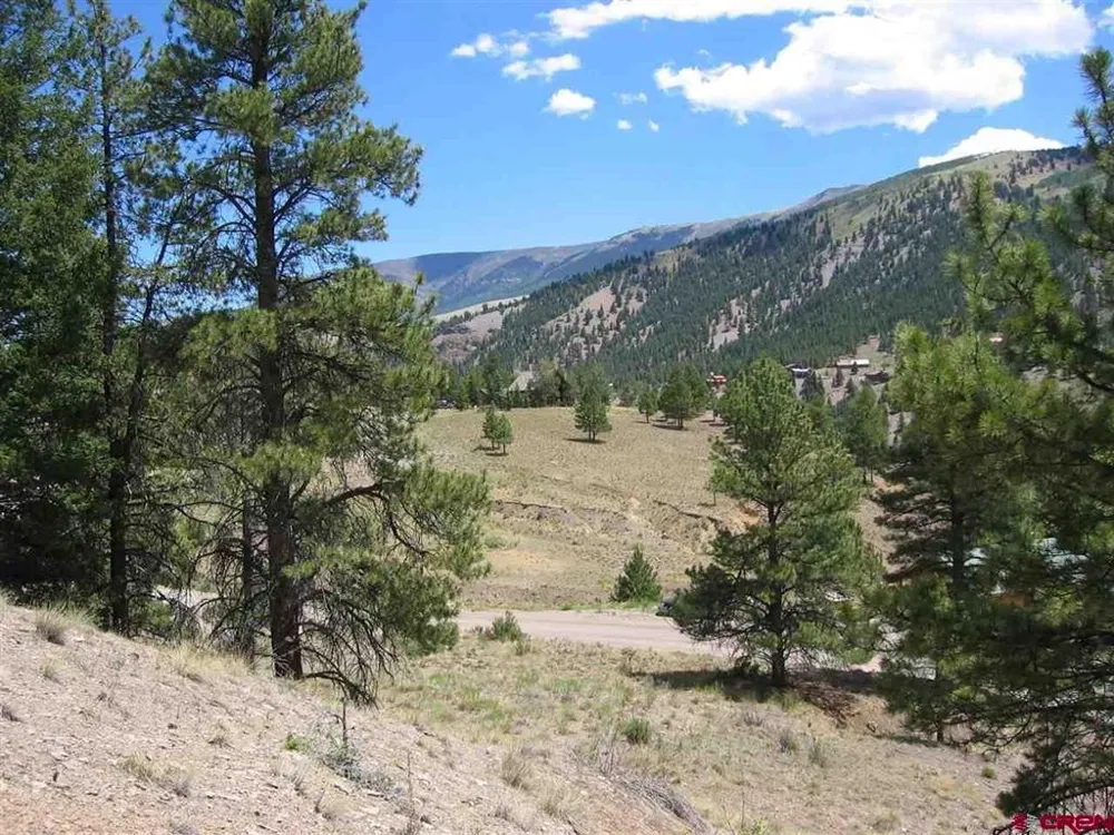 1900 San Juan Springs Drive Lake City, CO 81235