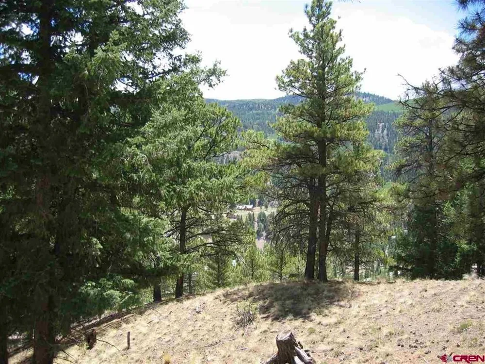 1900 San Juan Springs Drive Lake City, CO 81235