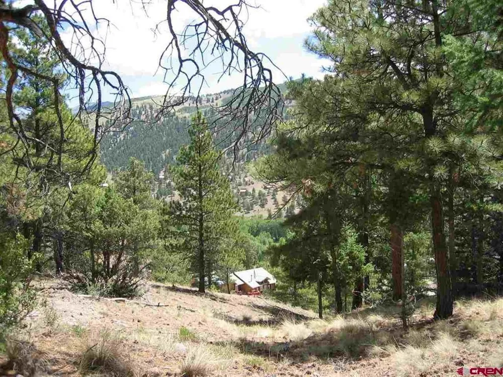 1900 San Juan Springs Drive Lake City, CO 81235