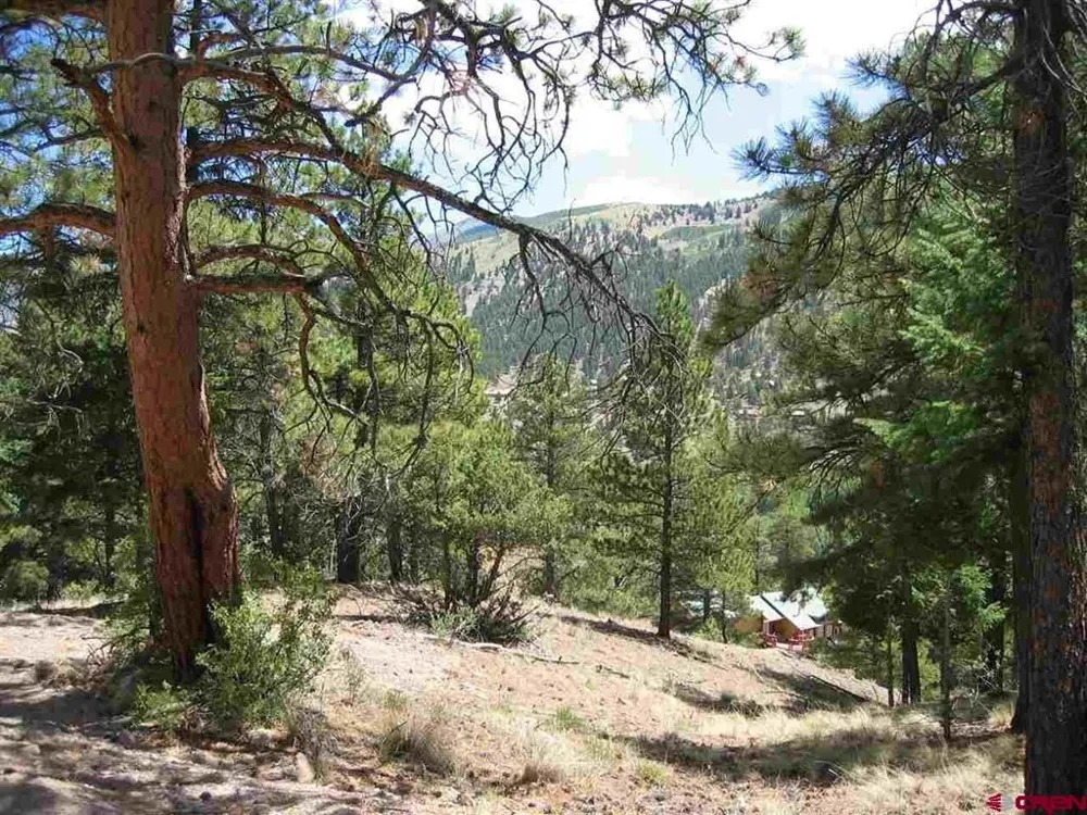 1900 San Juan Springs Drive Lake City, CO 81235