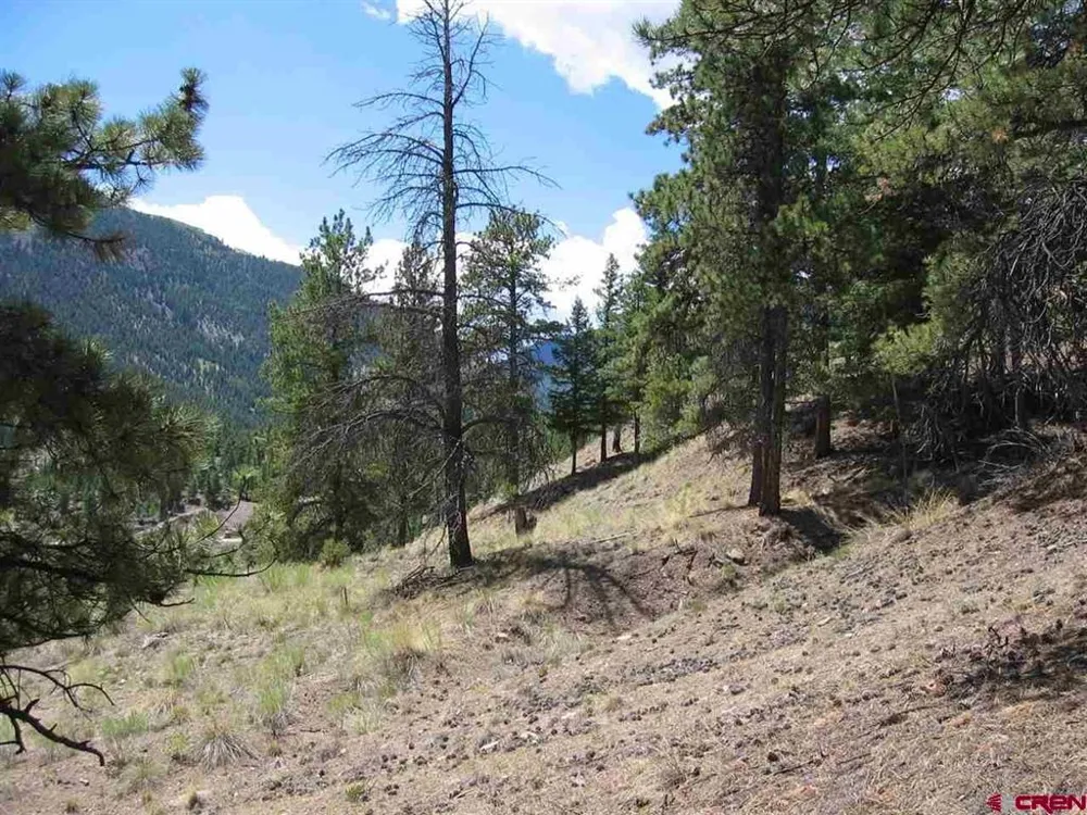 1900 San Juan Springs Drive Lake City, CO 81235
