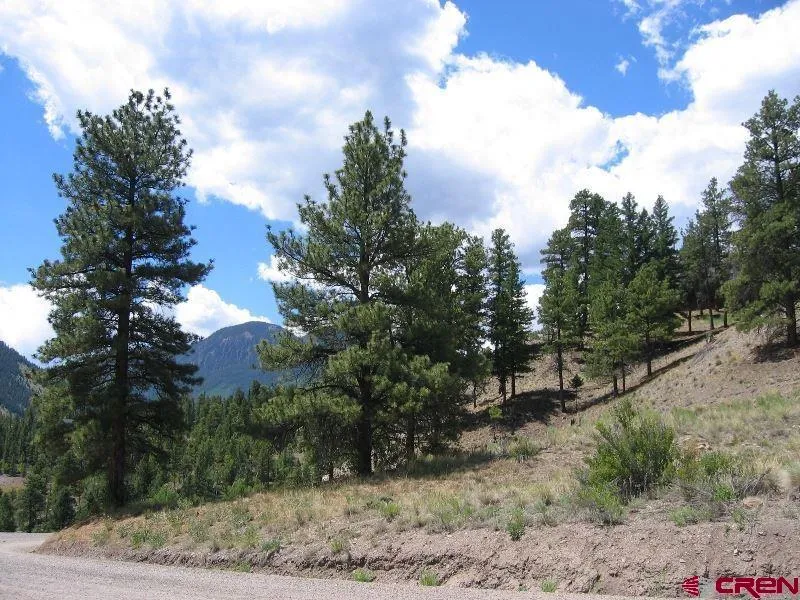 1900 San Juan Springs Drive Lake City, CO 81235