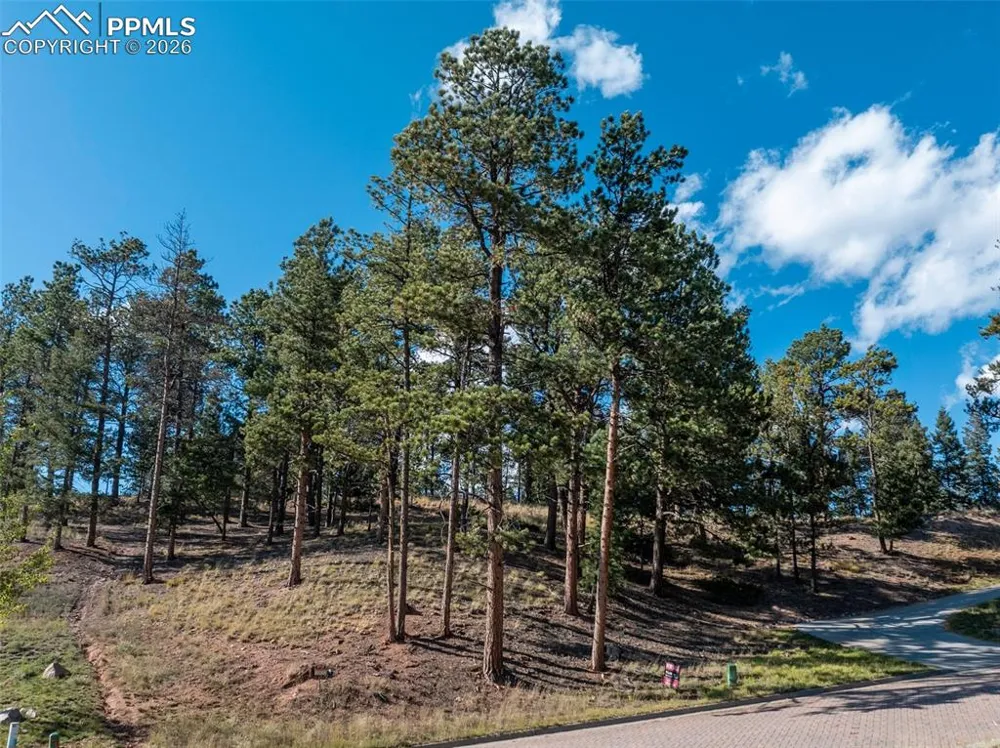 270 Thunder Ridge Drive Woodland Park, CO 80863