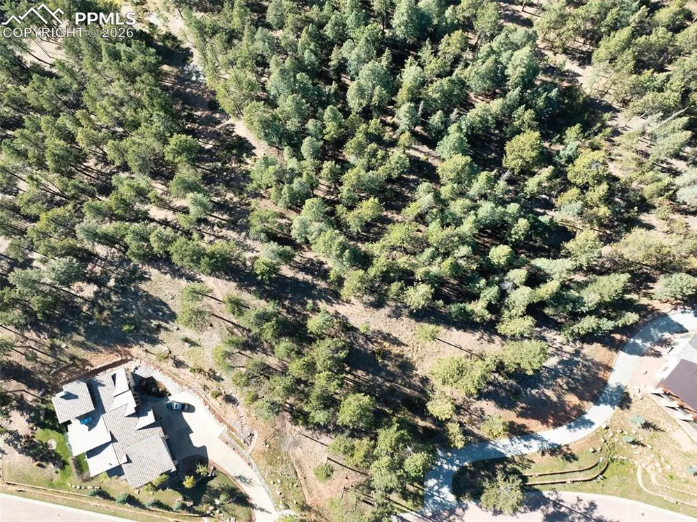270 Thunder Ridge Drive Woodland Park, CO 80863
