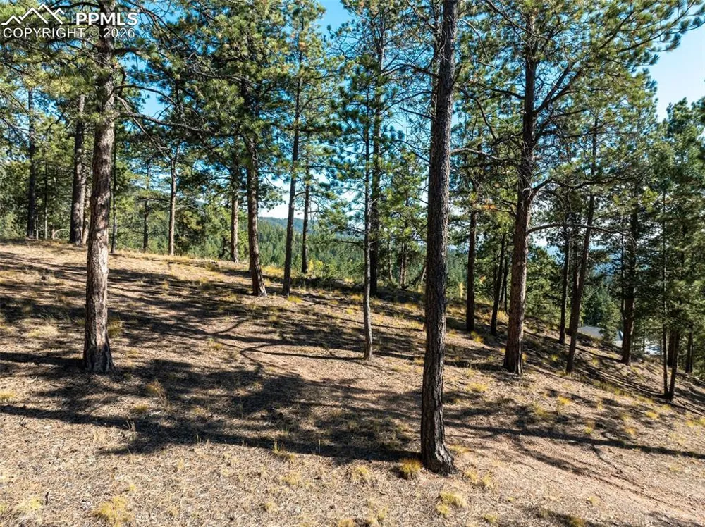 270 Thunder Ridge Drive Woodland Park, CO 80863