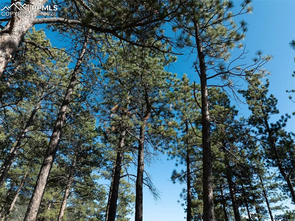 270 Thunder Ridge Drive Woodland Park, CO 80863