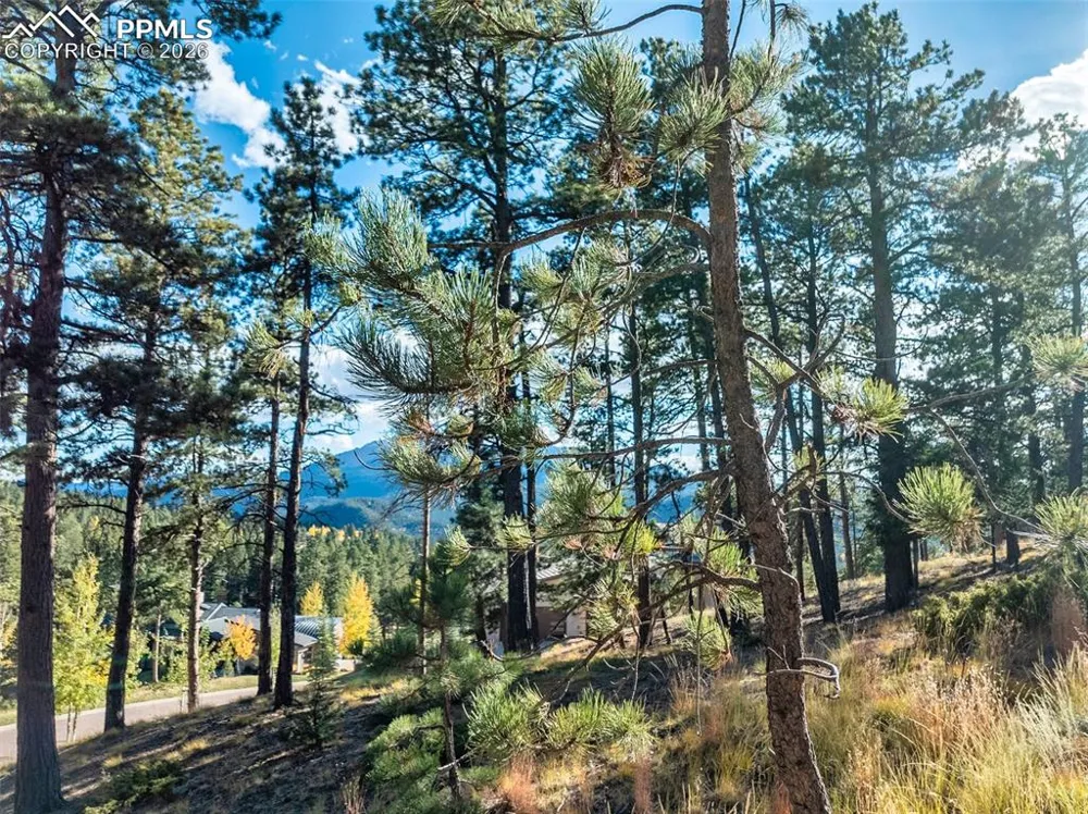 270 Thunder Ridge Drive Woodland Park, CO 80863