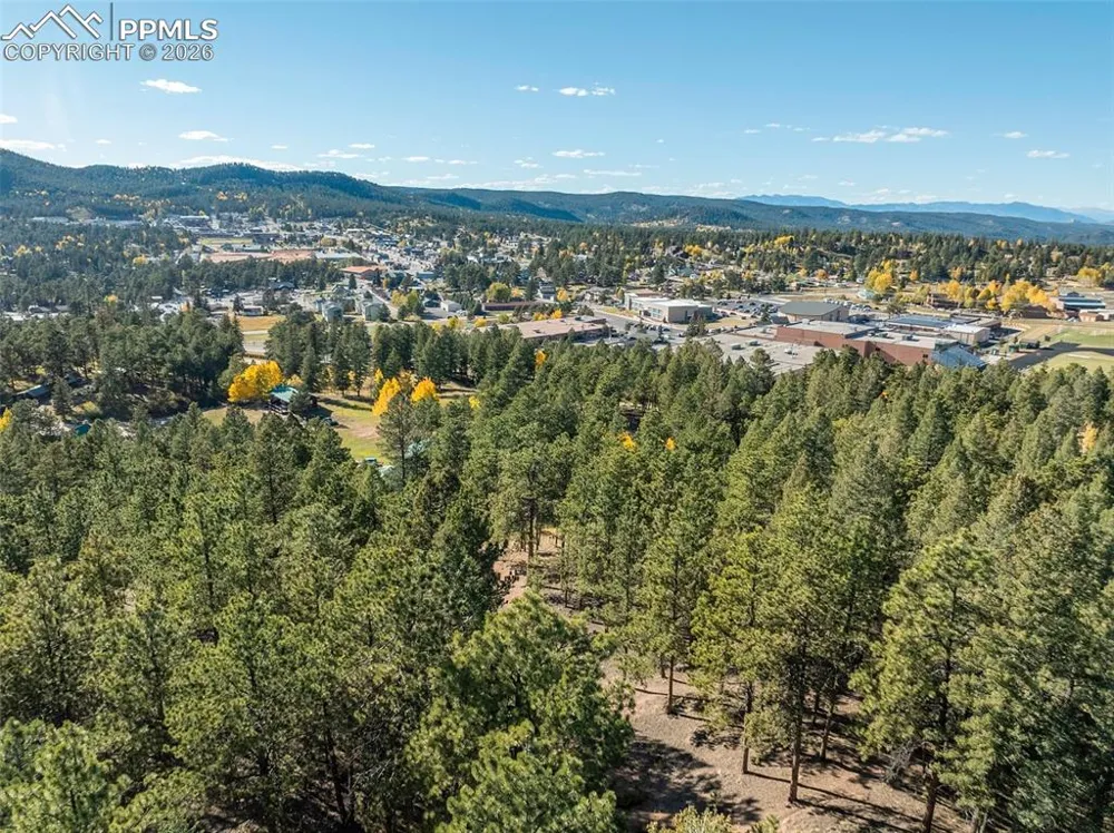 270 Thunder Ridge Drive Woodland Park, CO 80863