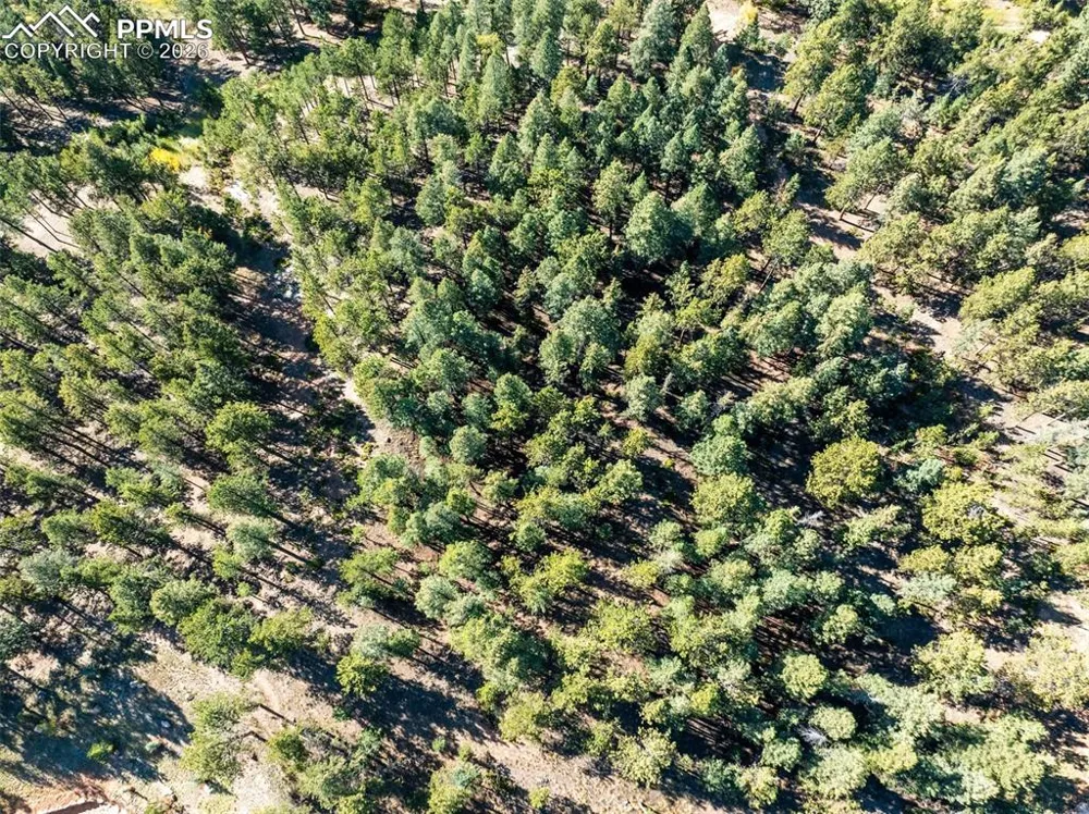 270 Thunder Ridge Drive Woodland Park, CO 80863