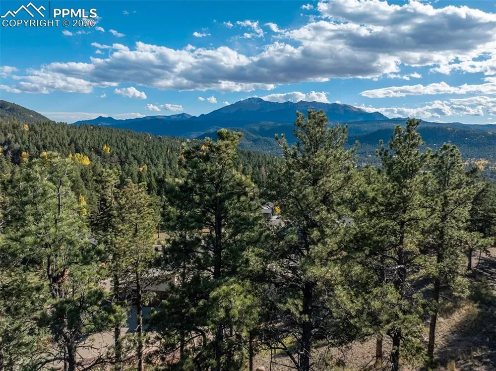 270 Thunder Ridge Drive Woodland Park, CO 80863