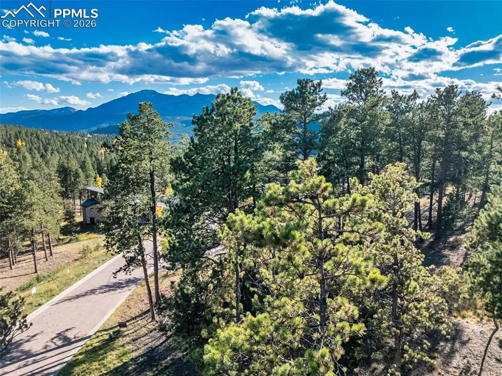 270 Thunder Ridge Drive Woodland Park, CO 80863