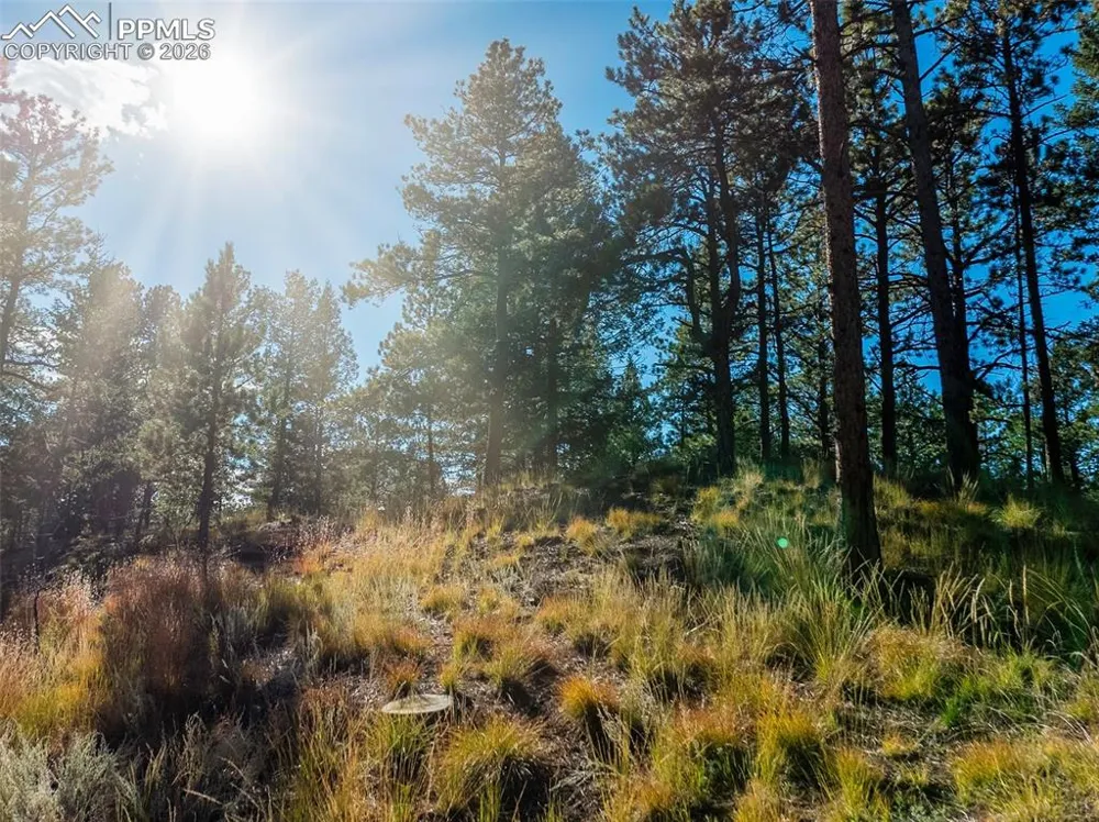 270 Thunder Ridge Drive Woodland Park, CO 80863