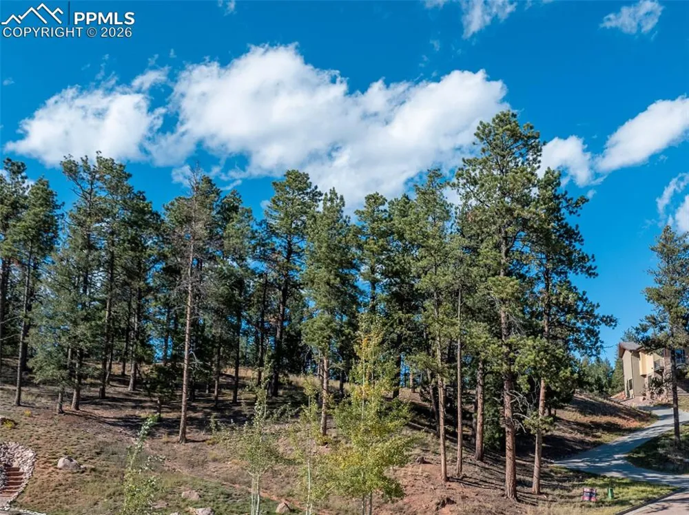 270 Thunder Ridge Drive Woodland Park, CO 80863