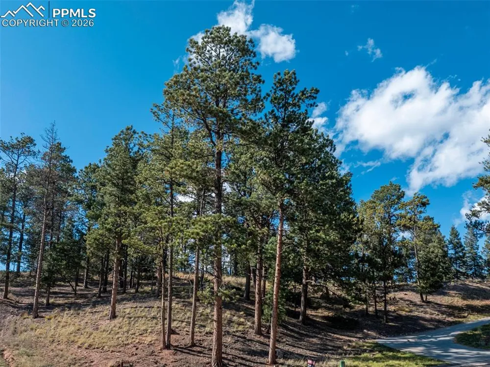 270 Thunder Ridge Drive Woodland Park, CO 80863