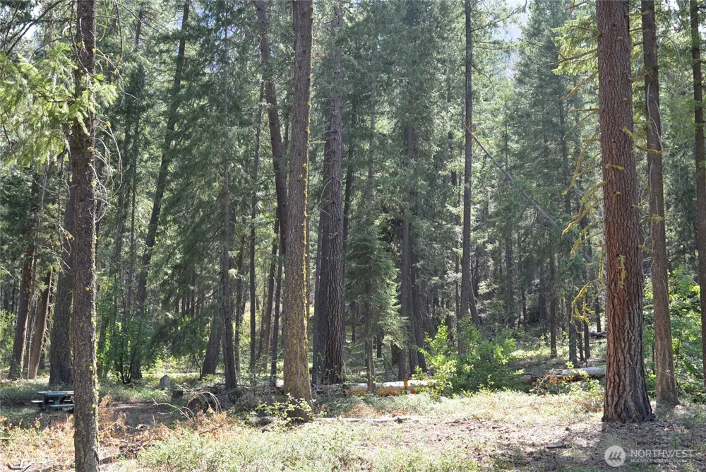 17798 A Hwy 20 #C-6 Mazama, WA 98833