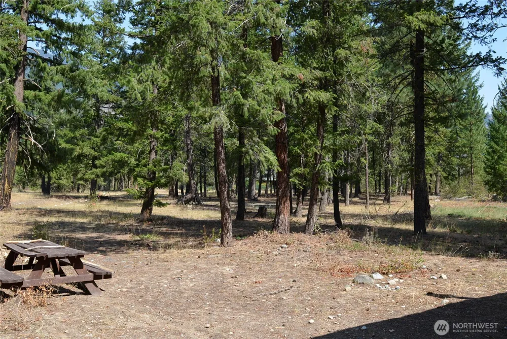 17798 A Hwy 20 #C-7 Mazama, WA 98833
