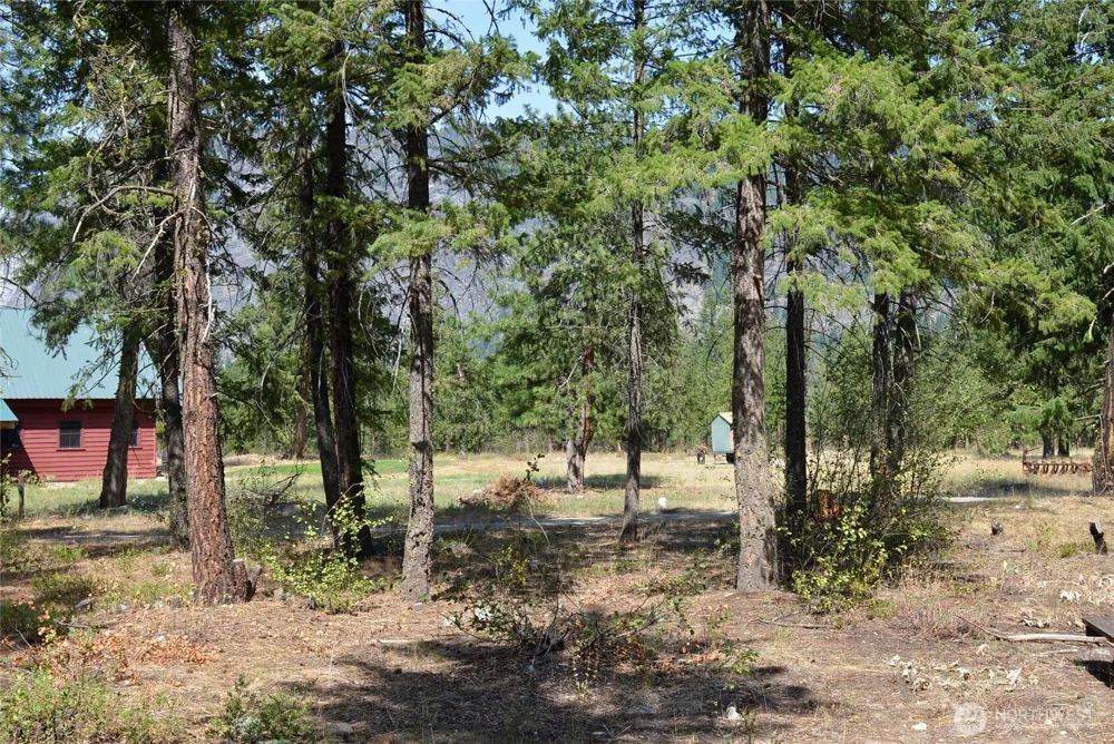 17798 A Hwy 20 #C-7 Mazama, WA 98833