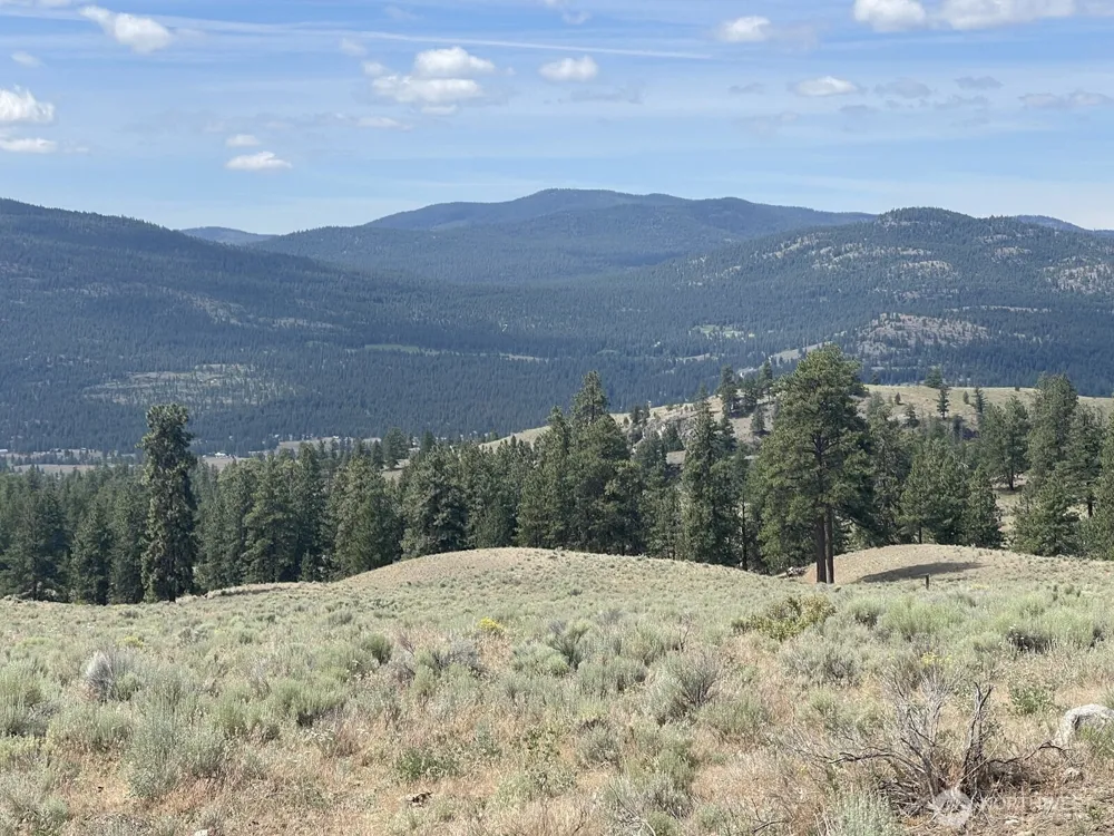 16 Breezy Lane Tonasket, WA 98855