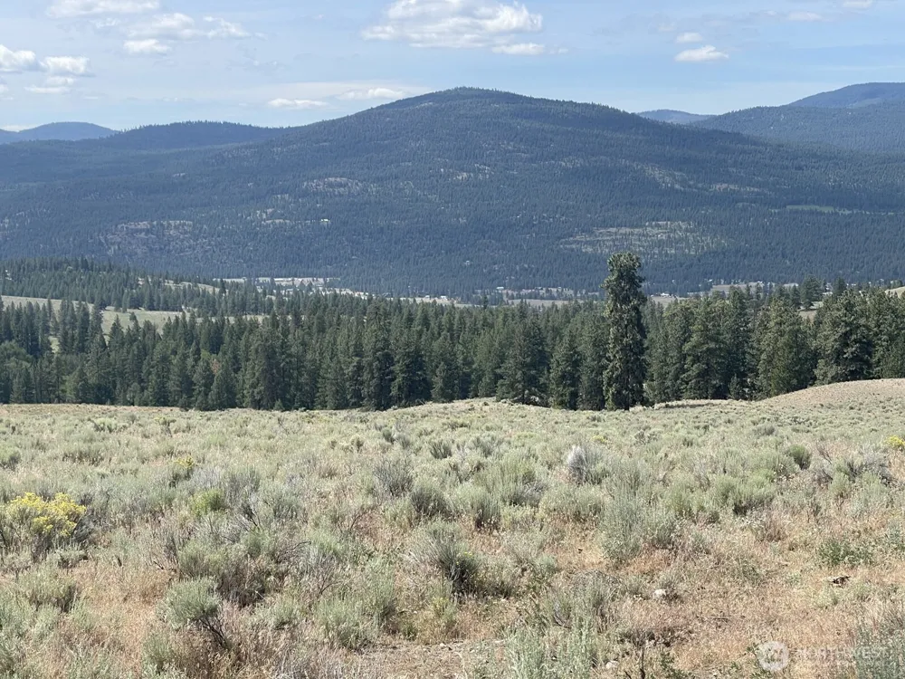 16 Breezy Lane Tonasket, WA 98855