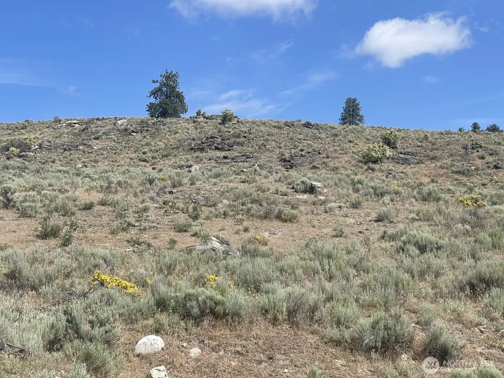 16 Breezy Lane Tonasket, WA 98855