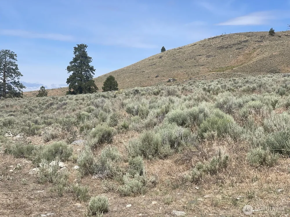 16 Breezy Lane Tonasket, WA 98855